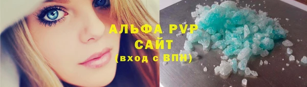 шишки Белоозёрский