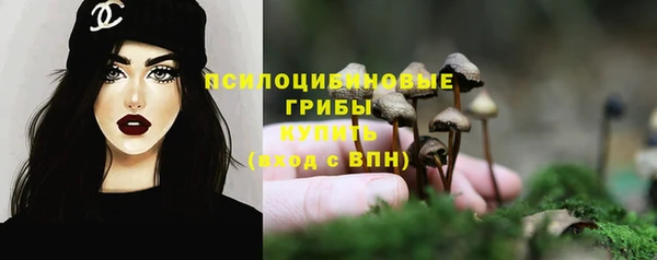 MDMA Богородск