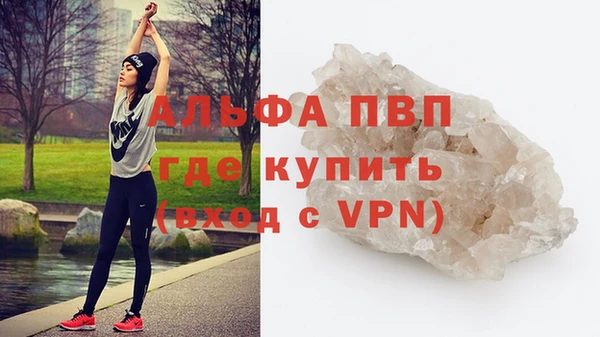 шишки Белоозёрский