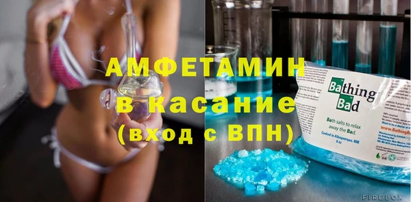 шишки Белоозёрский