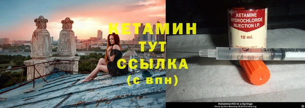 шишки Белоозёрский