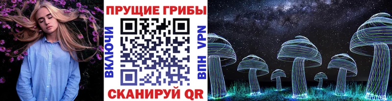 Псилоцибиновые грибы Magic Shrooms Волгореченск