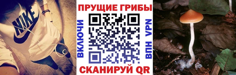 Галлюциногенные грибы ЛСД  купить наркотики сайты  Волгореченск 